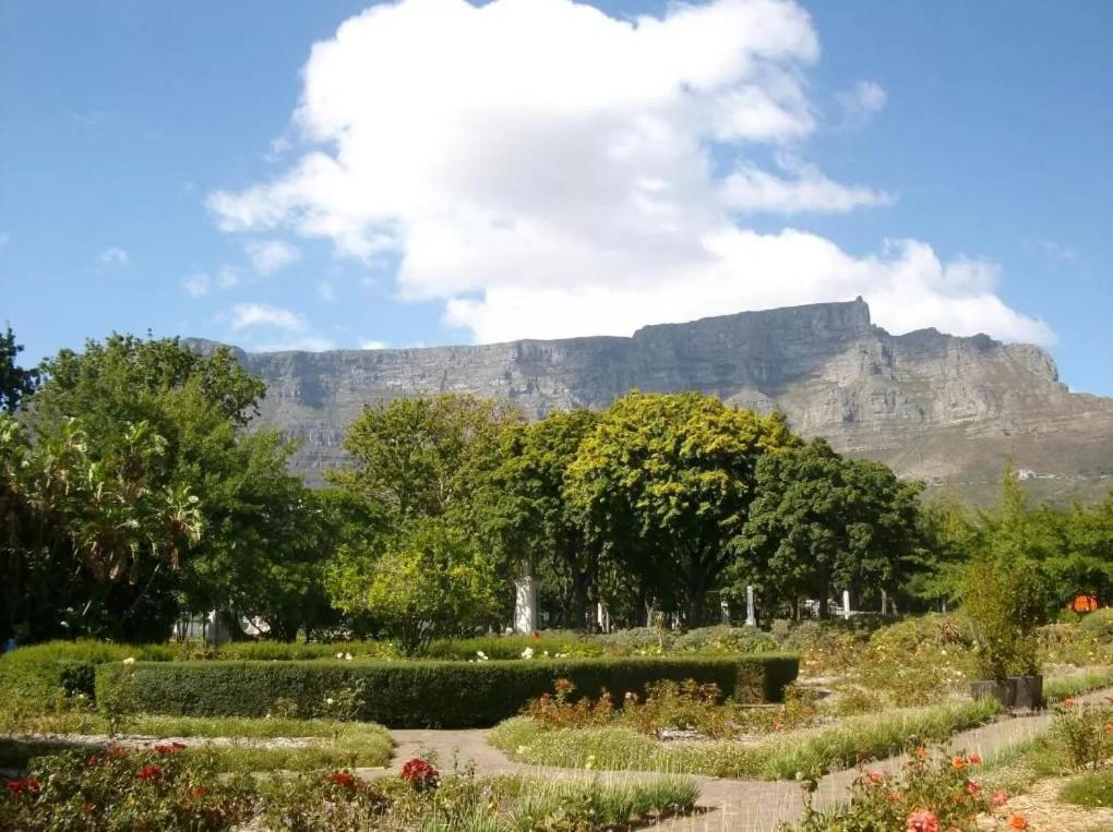 Taj Hotel Cape Town - Luxury 5 Star Suites - Very Spacious With Kitchenette, Lions Head Views Экстерьер фото